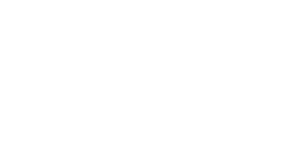 Dynamax