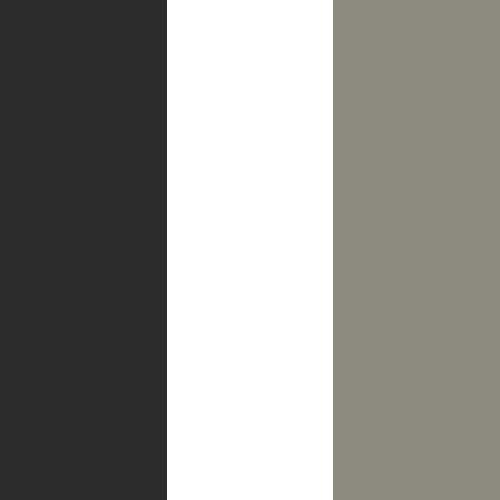 decor exterior color swatch 2027 canyon star silver ascent