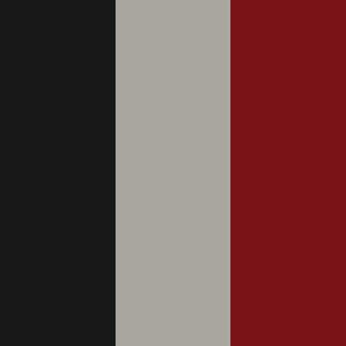 decor exterior color swatch 2027 dutch star cloudfire