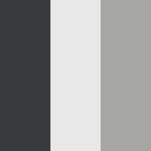 decor exterior color swatch 2027 dutch star saltwind