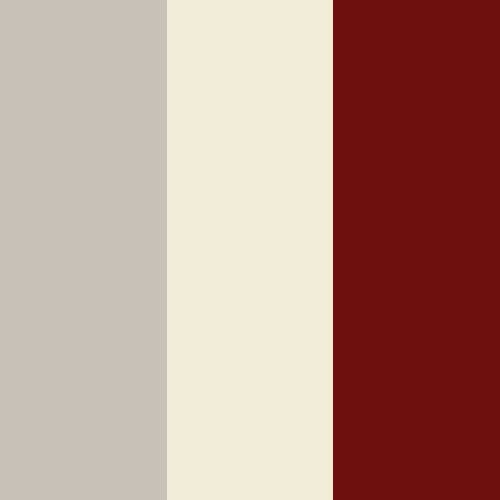 decor exterior color swatch 2027 new aire redwood