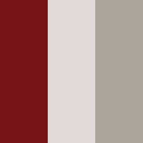 decor exterior color swatch 2027 northern star fireleaf