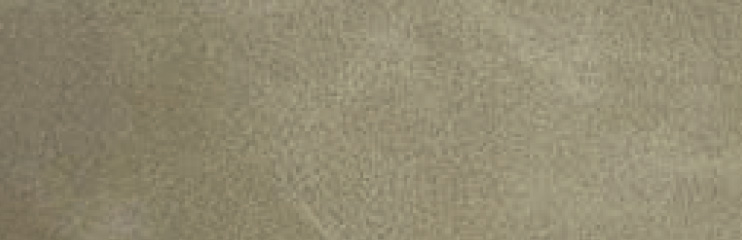 interior swatches 26 dynamax dessert