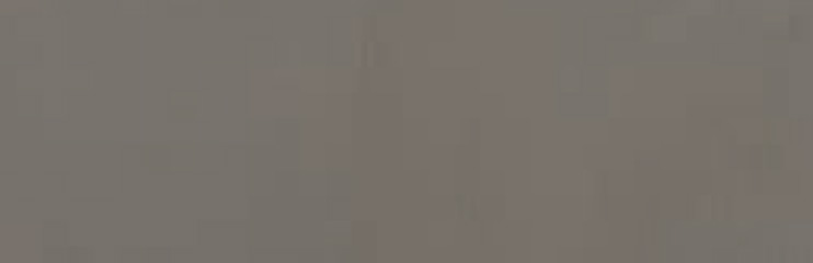 interior swatches 26 dynamax milano