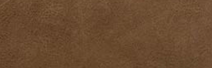 interior swatches 26 dynamax saddle