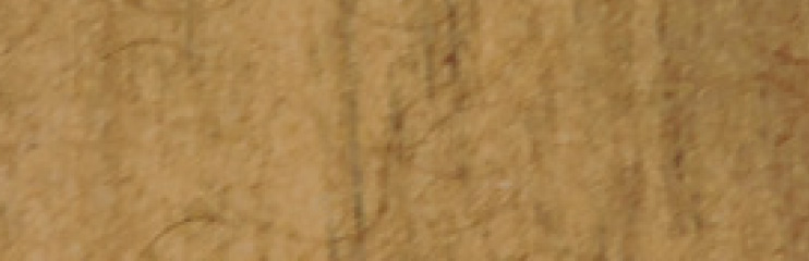 Vienna Honey Maple Interior Wood Option